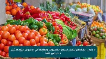 3 جنيه.. الطماطم تتصدر أسعار الخضروات والفاكهة في الأسواق اليوم الاثنين 1 سبتمبر 2025